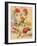 Studies of Summer Flowers-Jacques-Laurent Agasse-Framed Giclee Print