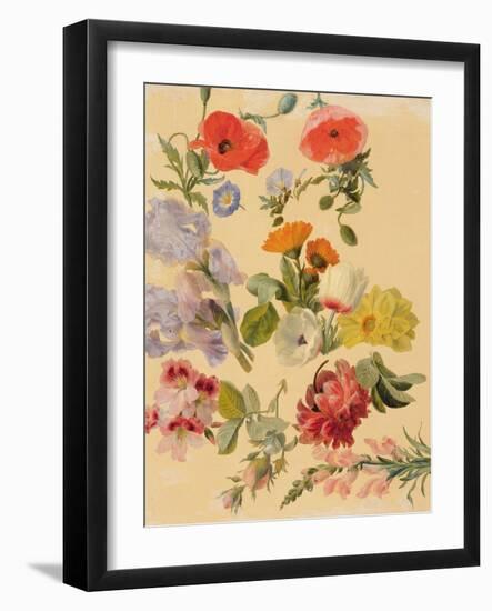 Studies of Summer Flowers-Jacques-Laurent Agasse-Framed Giclee Print