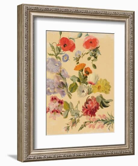 Studies of Summer Flowers-Jacques-Laurent Agasse-Framed Giclee Print