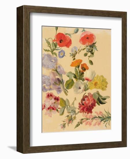 Studies of Summer Flowers-Jacques-Laurent Agasse-Framed Giclee Print