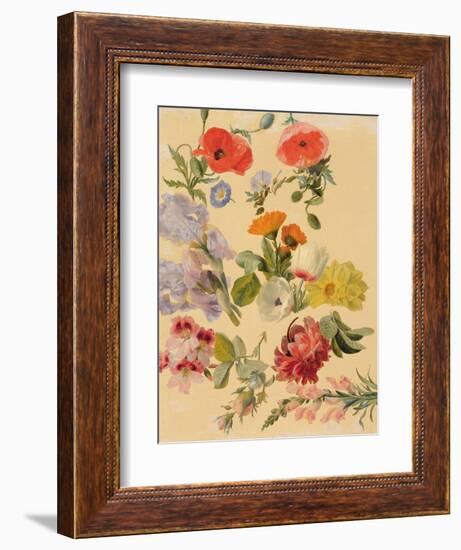 Studies of Summer Flowers-Jacques-Laurent Agasse-Framed Giclee Print