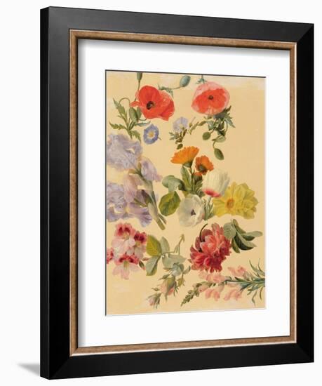 Studies of Summer Flowers-Jacques-Laurent Agasse-Framed Giclee Print