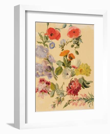 Studies of Summer Flowers-Jacques-Laurent Agasse-Framed Giclee Print