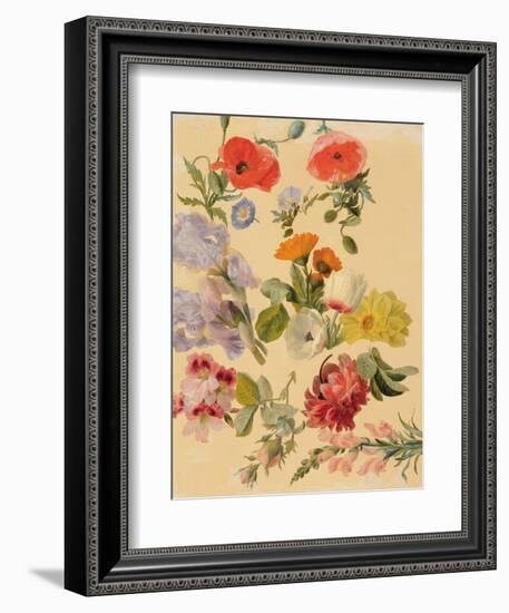 Studies of Summer Flowers-Jacques-Laurent Agasse-Framed Giclee Print