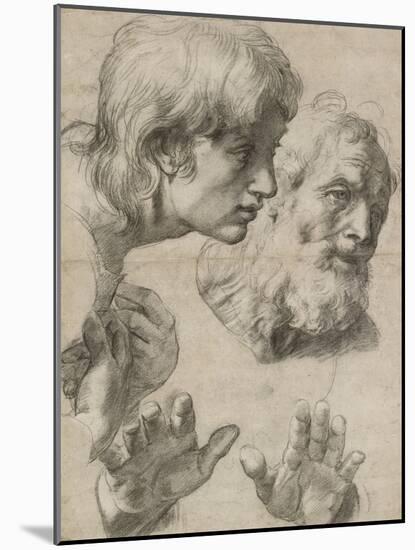 Studies of the Heads of Two Apostles and of their Hands-Raphael-Mounted Giclee Print