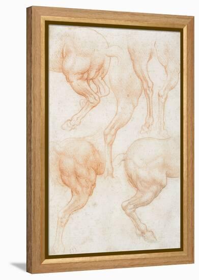 Studies of the Horse Rear Legs-Leonardo da Vinci-Framed Premier Image Canvas