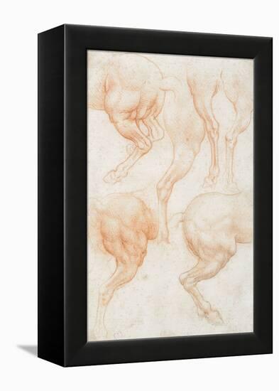 Studies of the Horse Rear Legs-Leonardo da Vinci-Framed Premier Image Canvas