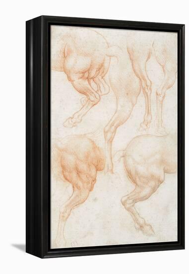 Studies of the Horse Rear Legs-Leonardo da Vinci-Framed Premier Image Canvas