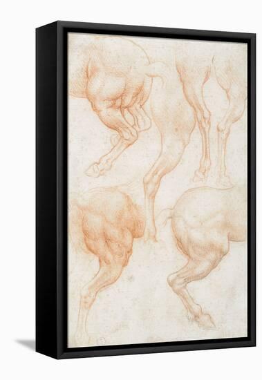 Studies of the Horse Rear Legs-Leonardo da Vinci-Framed Premier Image Canvas