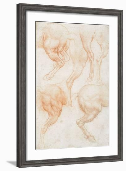 Studies of the Horse Rear Legs-Leonardo da Vinci-Framed Giclee Print