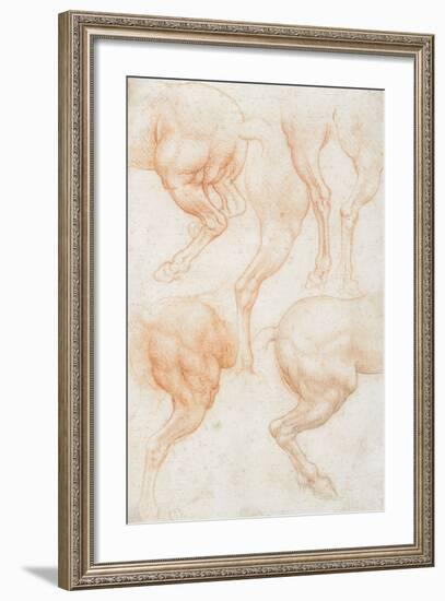 Studies of the Horse Rear Legs-Leonardo da Vinci-Framed Giclee Print