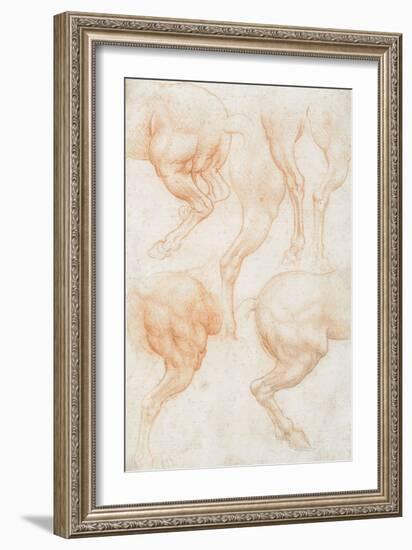 Studies of the Horse Rear Legs-Leonardo da Vinci-Framed Giclee Print