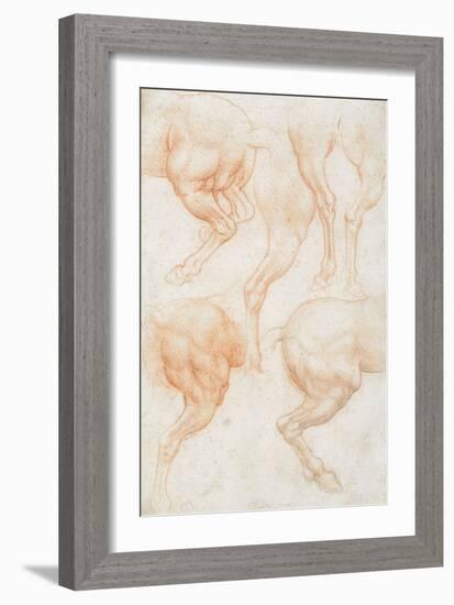 Studies of the Horse Rear Legs-Leonardo da Vinci-Framed Giclee Print