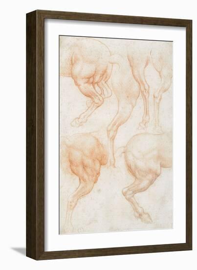 Studies of the Horse Rear Legs-Leonardo da Vinci-Framed Giclee Print