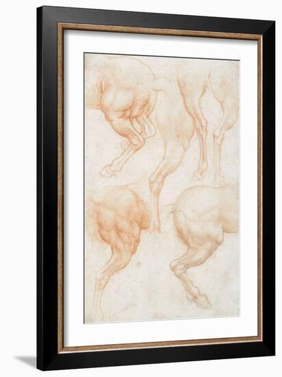 Studies of the Horse Rear Legs-Leonardo da Vinci-Framed Giclee Print