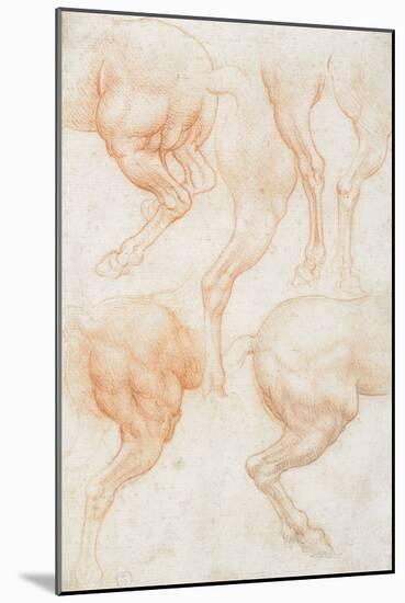 Studies of the Horse Rear Legs-Leonardo da Vinci-Mounted Giclee Print