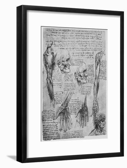 'Studies of the Muscles of the Face and Arm', c1480 (1945)-Leonardo Da Vinci-Framed Giclee Print