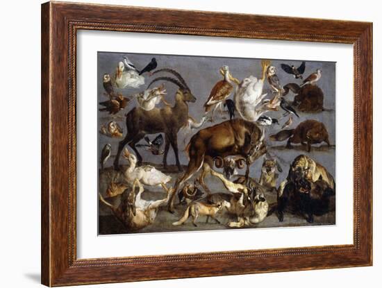 Studies of various Animals and Birds-Carl Borromaus Andreas Ruthart-Framed Giclee Print