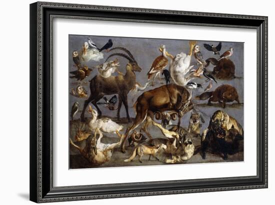 Studies of various Animals and Birds-Carl Borromaus Andreas Ruthart-Framed Giclee Print