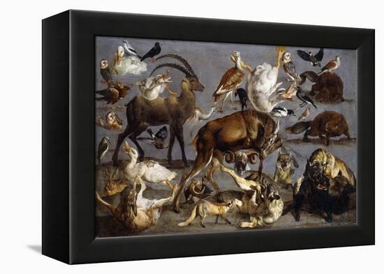 Studies of various Animals and Birds-Carl Borromaus Andreas Ruthart-Framed Premier Image Canvas