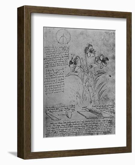 'Studies of Violas and of Methods of Soldering Lead Roofs', c1480 (1945)-Leonardo Da Vinci-Framed Giclee Print