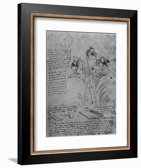 'Studies of Violas and of Methods of Soldering Lead Roofs', c1480 (1945)-Leonardo Da Vinci-Framed Giclee Print