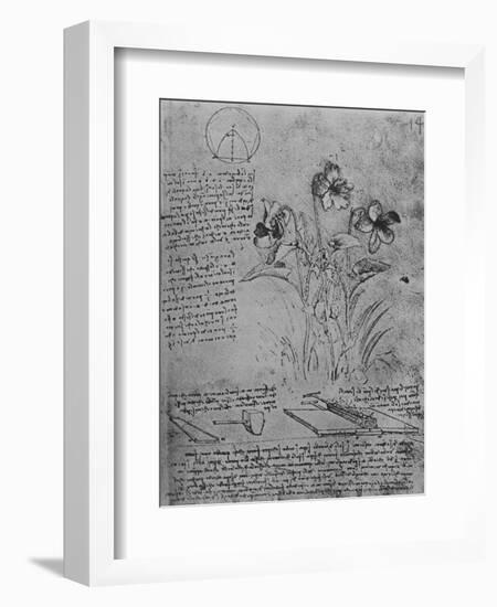 'Studies of Violas and of Methods of Soldering Lead Roofs', c1480 (1945)-Leonardo Da Vinci-Framed Giclee Print