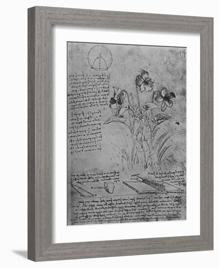 'Studies of Violas and of Methods of Soldering Lead Roofs', c1480 (1945)-Leonardo Da Vinci-Framed Giclee Print