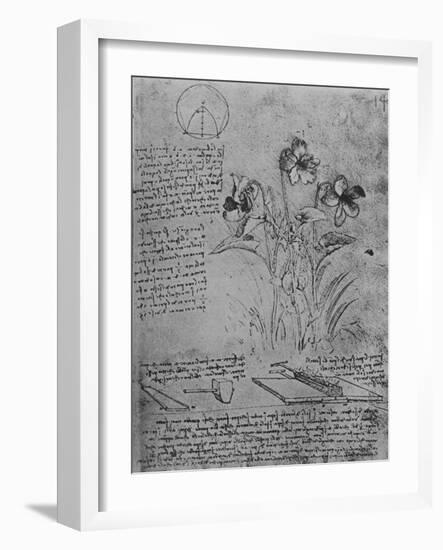 'Studies of Violas and of Methods of Soldering Lead Roofs', c1480 (1945)-Leonardo Da Vinci-Framed Giclee Print