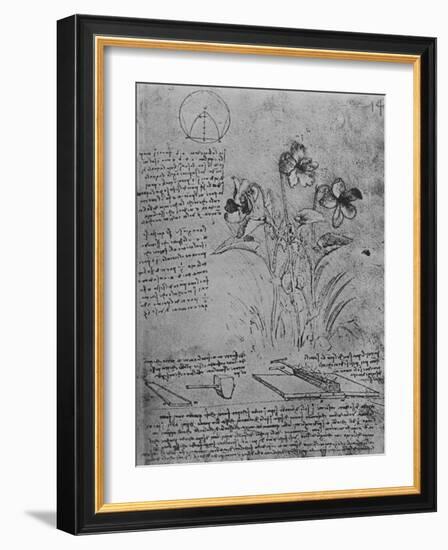 'Studies of Violas and of Methods of Soldering Lead Roofs', c1480 (1945)-Leonardo Da Vinci-Framed Giclee Print