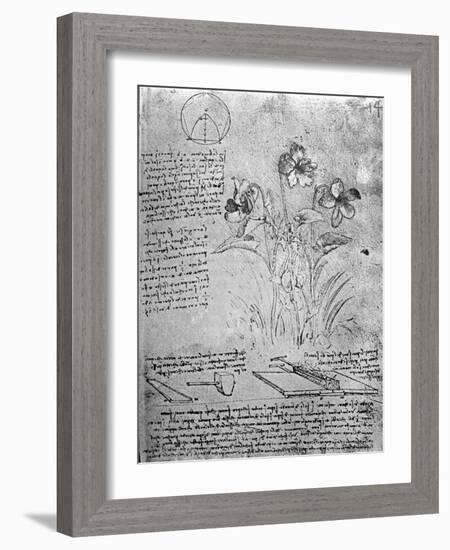 Studies of Violas-Leonardo da Vinci-Framed Giclee Print