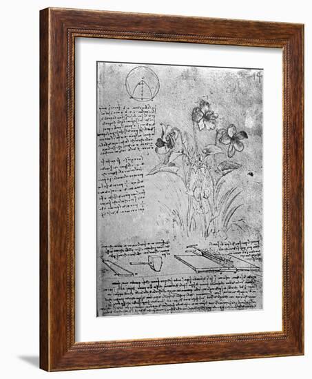 Studies of Violas-Leonardo da Vinci-Framed Giclee Print