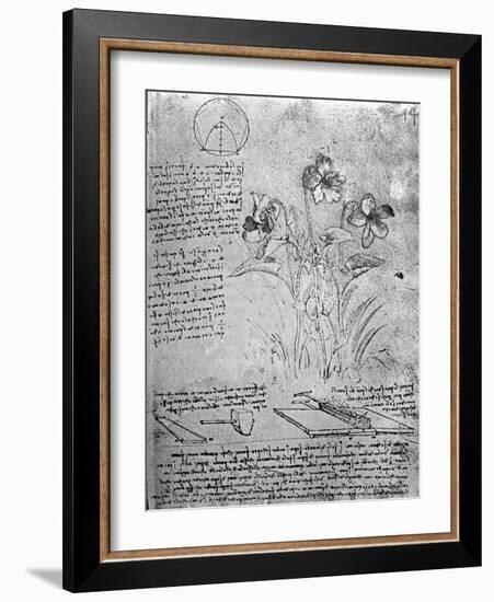 Studies of Violas-Leonardo da Vinci-Framed Giclee Print