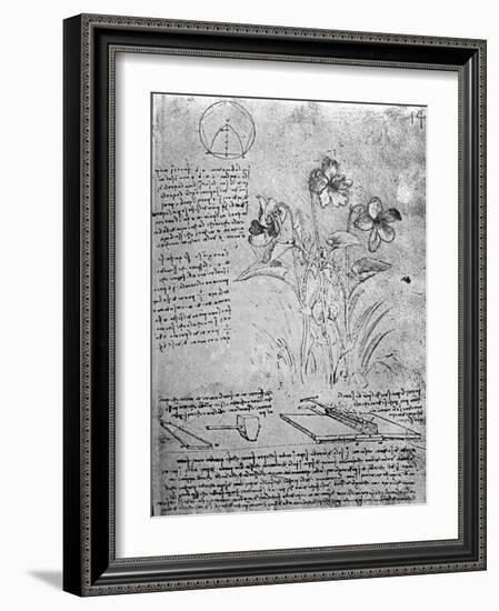 Studies of Violas-Leonardo da Vinci-Framed Giclee Print