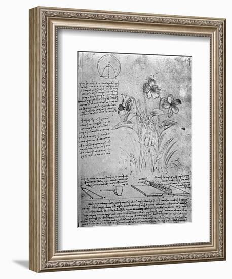 Studies of Violas-Leonardo da Vinci-Framed Giclee Print