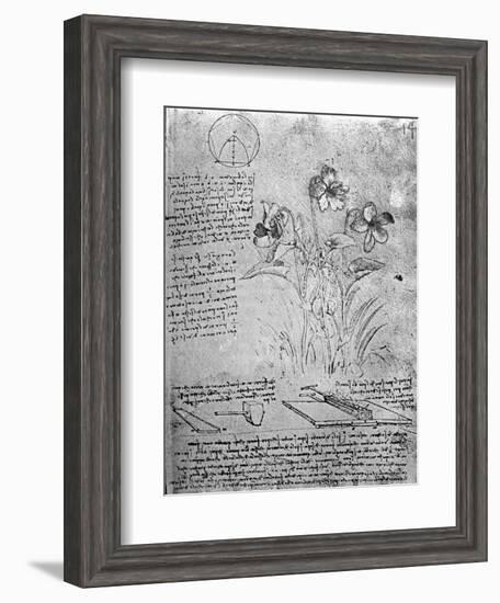 Studies of Violas-Leonardo da Vinci-Framed Giclee Print