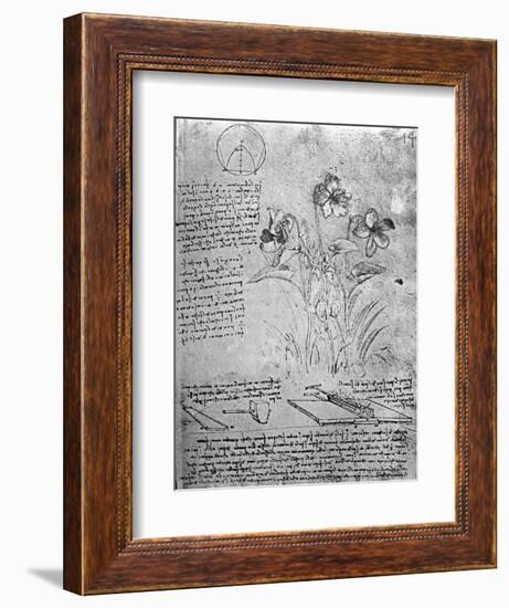 Studies of Violas-Leonardo da Vinci-Framed Giclee Print