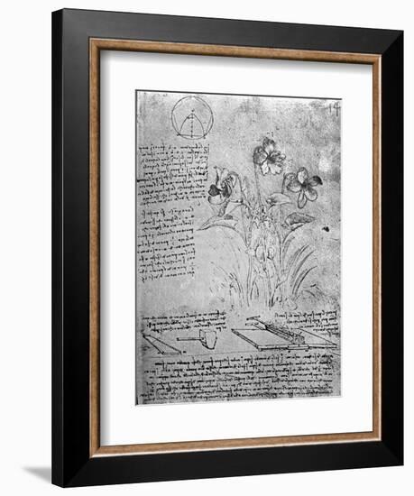 Studies of Violas-Leonardo da Vinci-Framed Giclee Print