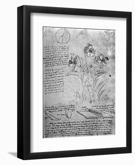 Studies of Violas-Leonardo da Vinci-Framed Giclee Print