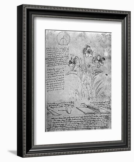 Studies of Violas-Leonardo da Vinci-Framed Giclee Print