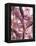 Studio 54-Tyson Estes-Framed Premier Image Canvas