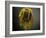 Studio Flowers VII-James McLoughlin-Framed Photographic Print