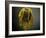 Studio Flowers VII-James McLoughlin-Framed Photographic Print