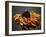 Studio Flowers VIII-James McLoughlin-Framed Photographic Print