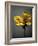 Studio Flowers X-James McLoughlin-Framed Photographic Print