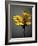 Studio Flowers X-James McLoughlin-Framed Photographic Print