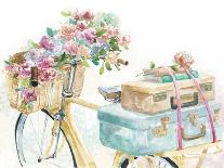 Flower Market Bicycle-Studio M-Framed Art Print