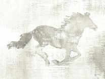 Mustang Study Neutral-Studio Mousseau-Art Print