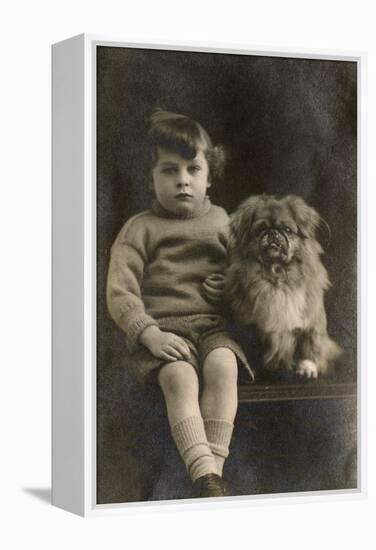 Studio Portrait, Boy with Pekingese Dog-null-Framed Premier Image Canvas