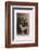 Studio Portrait, Father and Daughter with Greyhound-null-Framed Photographic Print